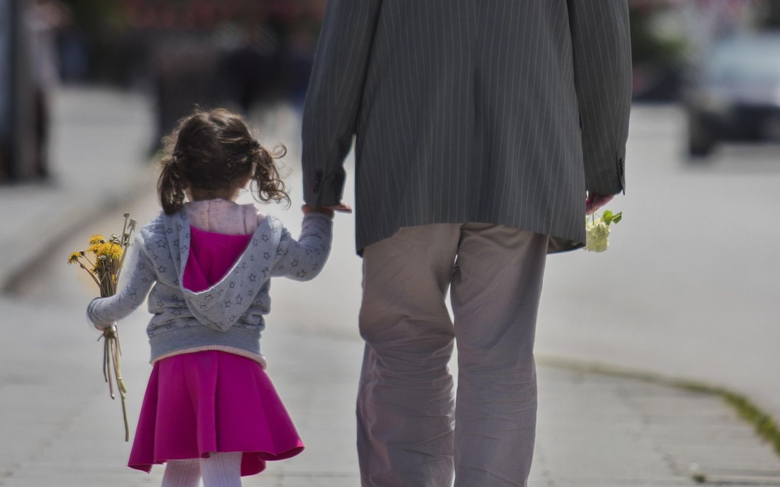 A grandfather and granddaughter walking hand in hand, she is carrying a fistful of dandelions.